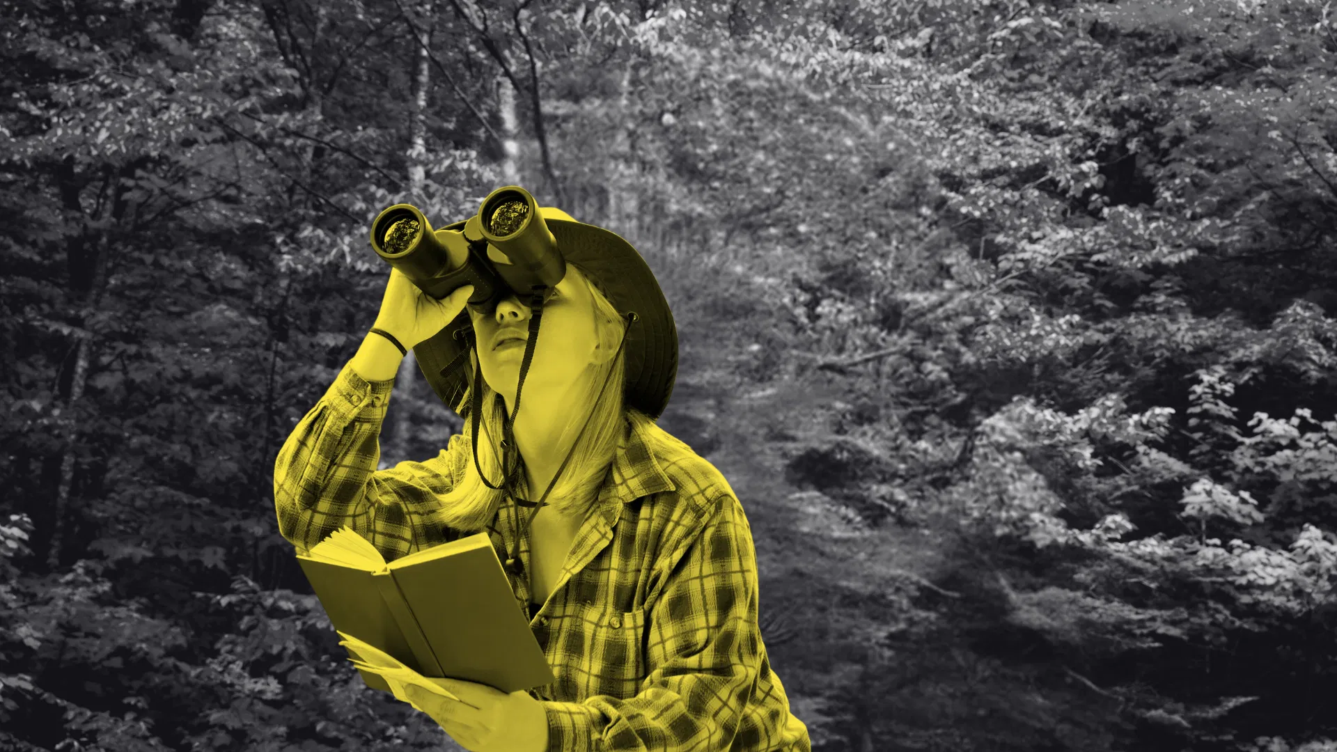 Стратегии генерации лидов для бизнеса