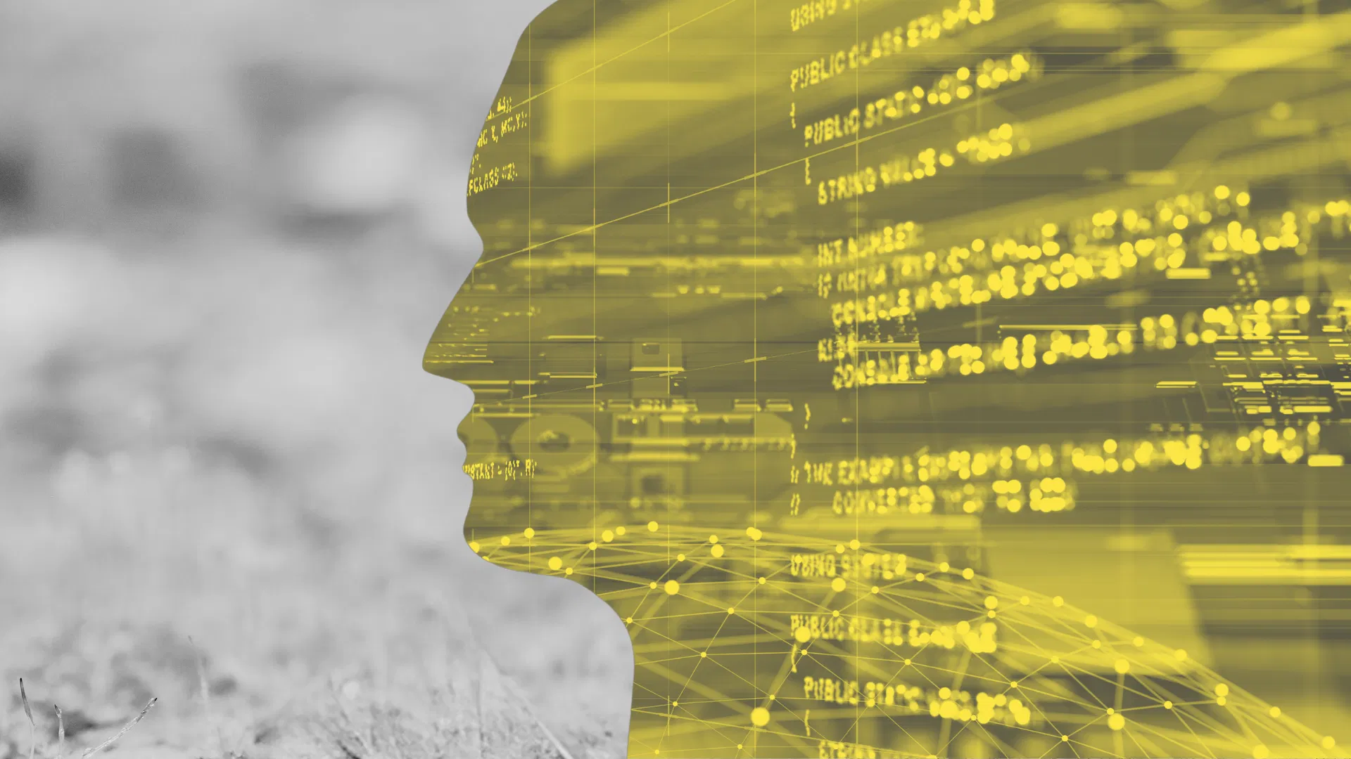 Рост бизнеса на основе данных