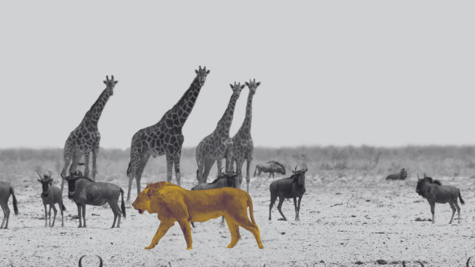 Account-based маркетинг и продажи