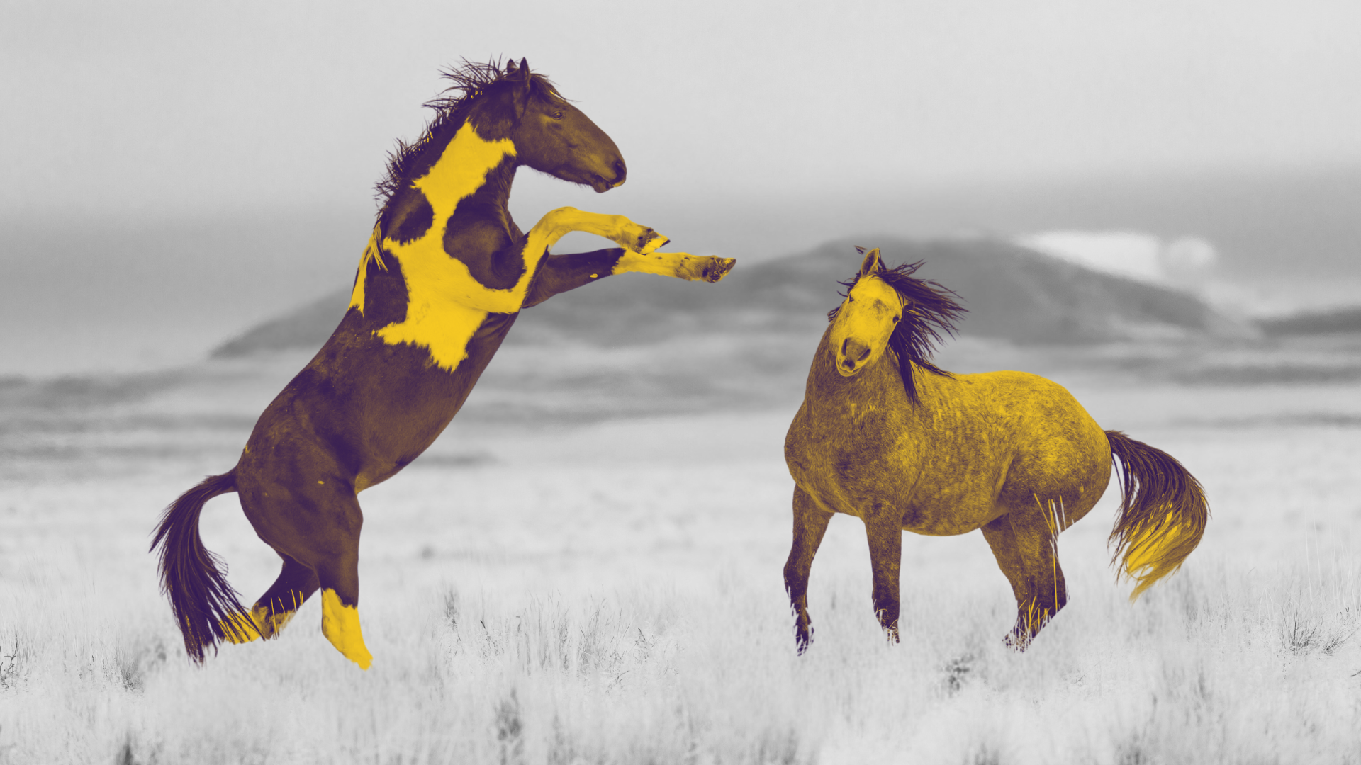 Маркетинг и продажи: кто в доме хозяин при Account-Based маркетинге?