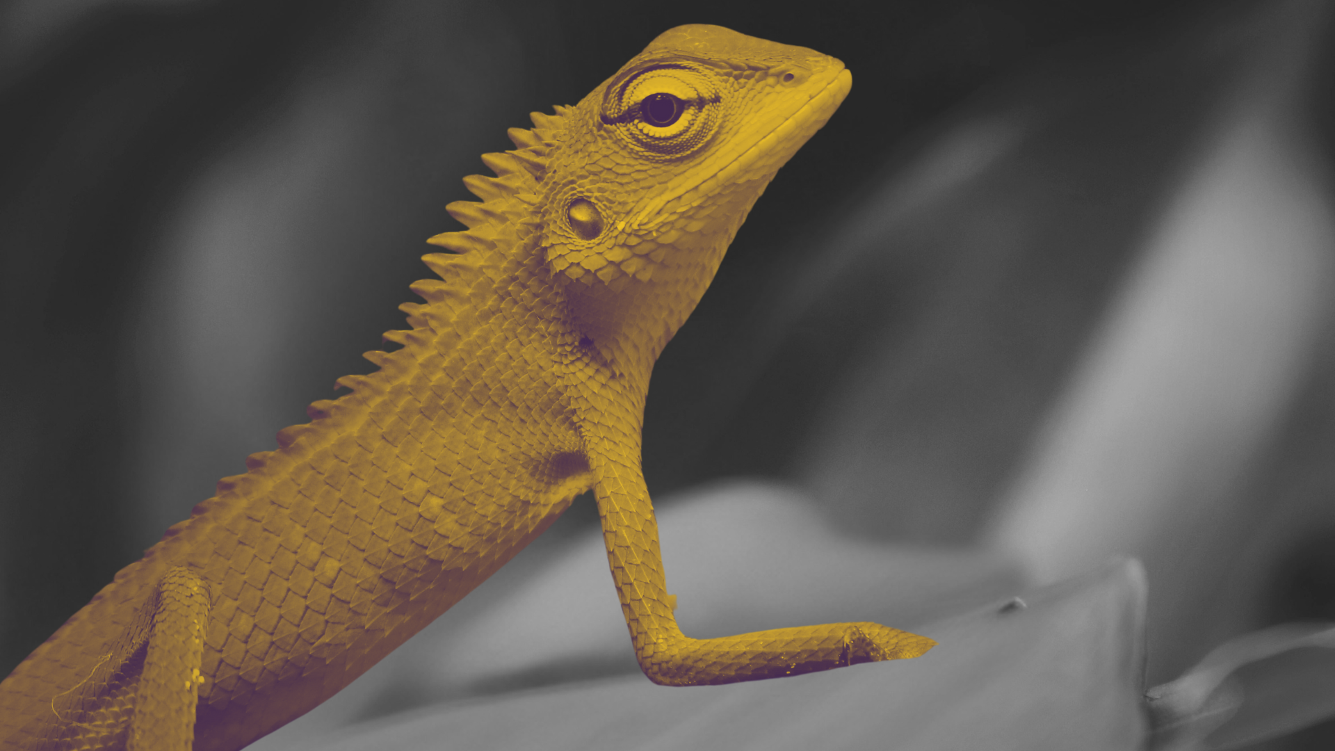 Контент — как стратегическое оружие, а не просто "информационный шум".