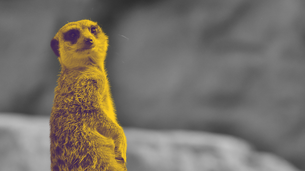 Глубокий анализ ICP для ABM. Как найти "того самого" клиента и не потратить время на "пустышек»?