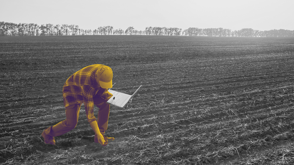 Клиенты не хотят инноваций. Зачем им стабильность?