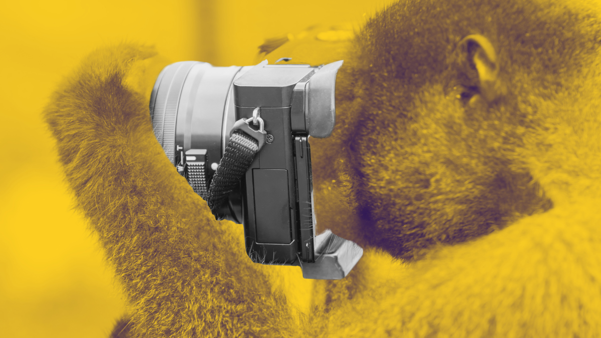 Мобильное приложение для B2B? Серьёзно?!