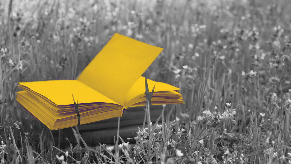 Бизнес-книги не помогают. Где искать полезную информацию?