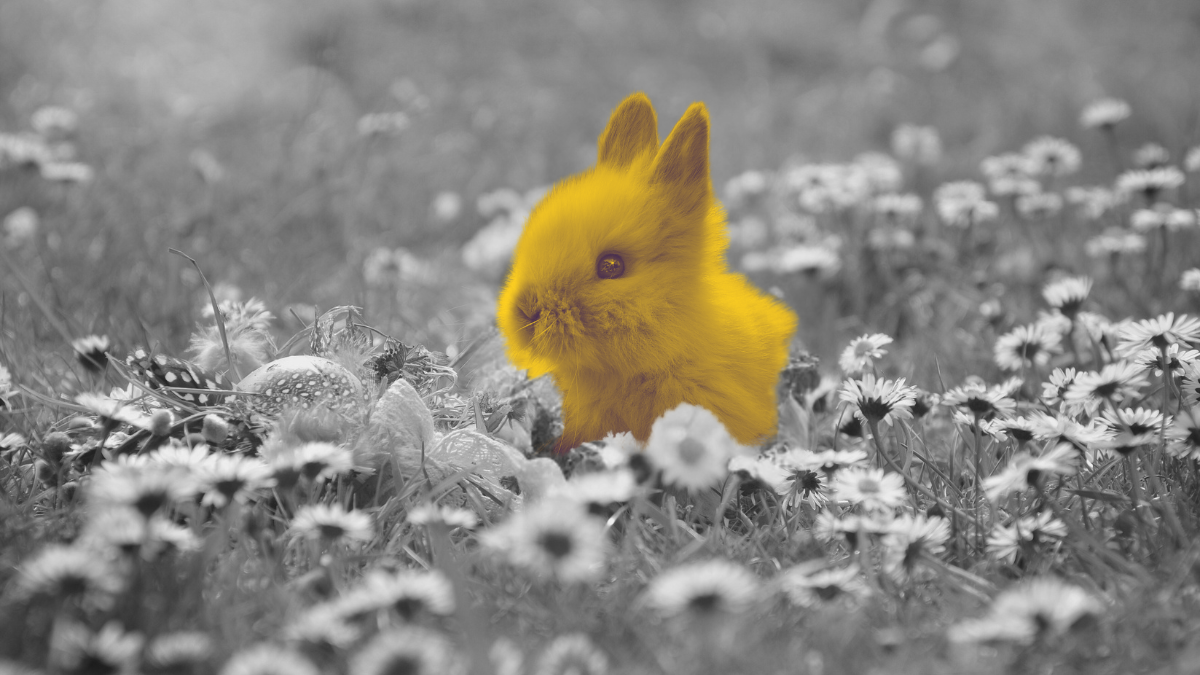 Маркетинг без бюджета. Как добиться успеха с нуля?