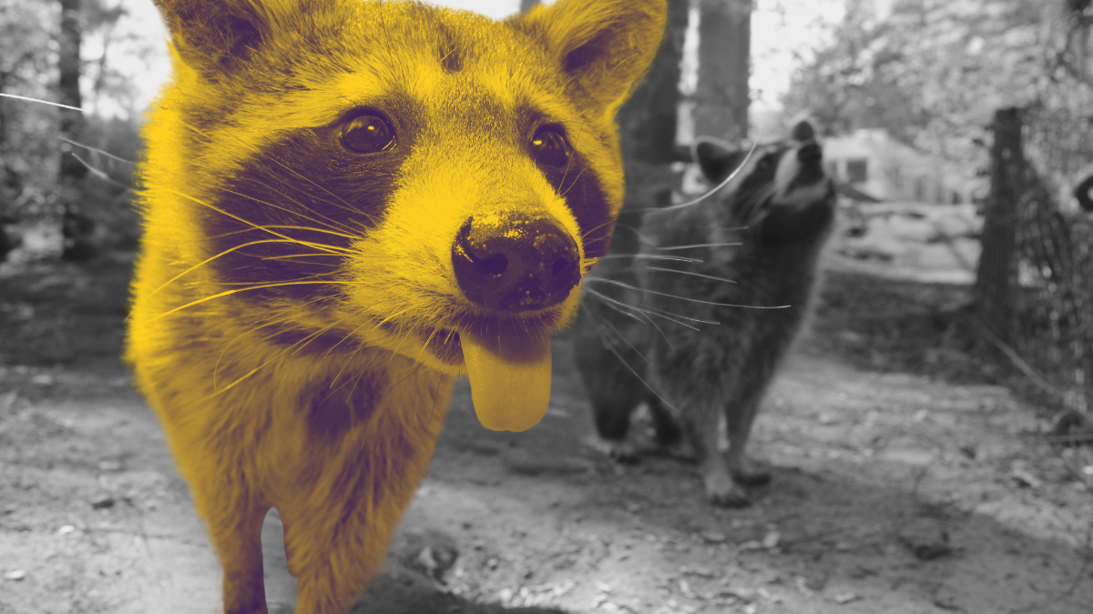 Почему ваш отдел продаж работает впустую (и как это исправить)