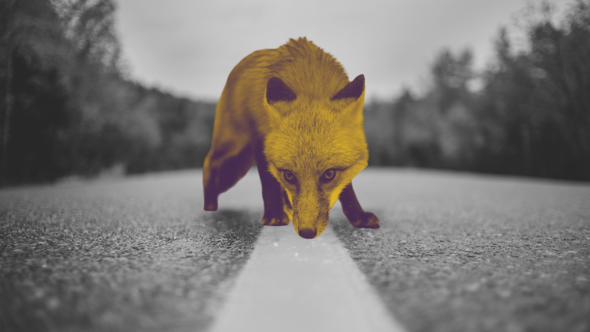 Почему ABM в России чаще всего проваливается? Разбираем главные ошибки