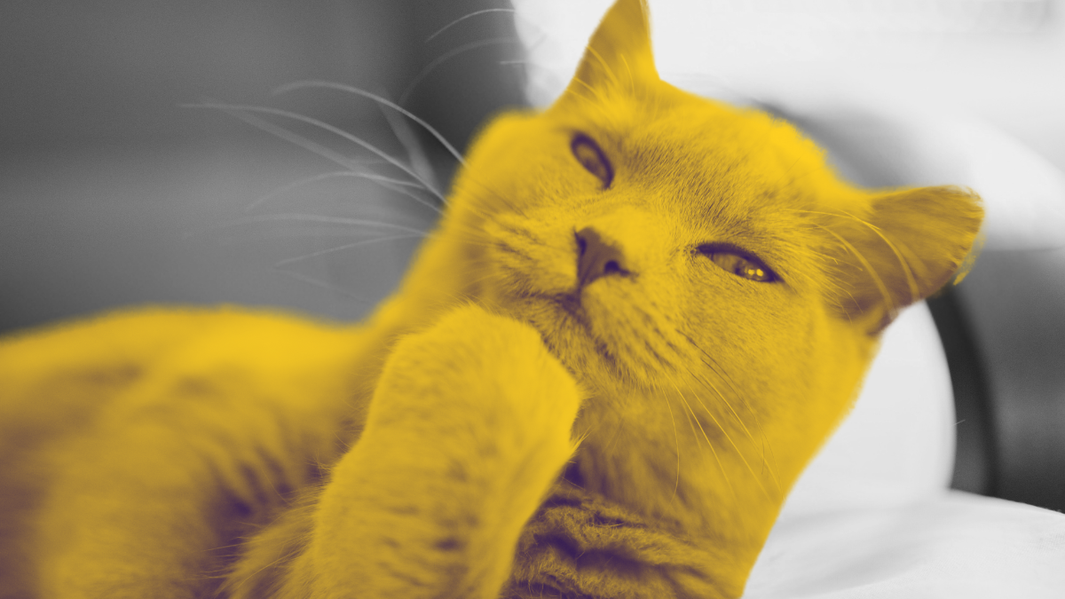 Долгосрочные контракты больше не работают. Что делать?