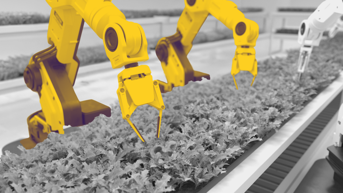 Автоматизация в B2B маркетинге снижает качество? Иногда. Ищем баланс между скоростью и вниманием