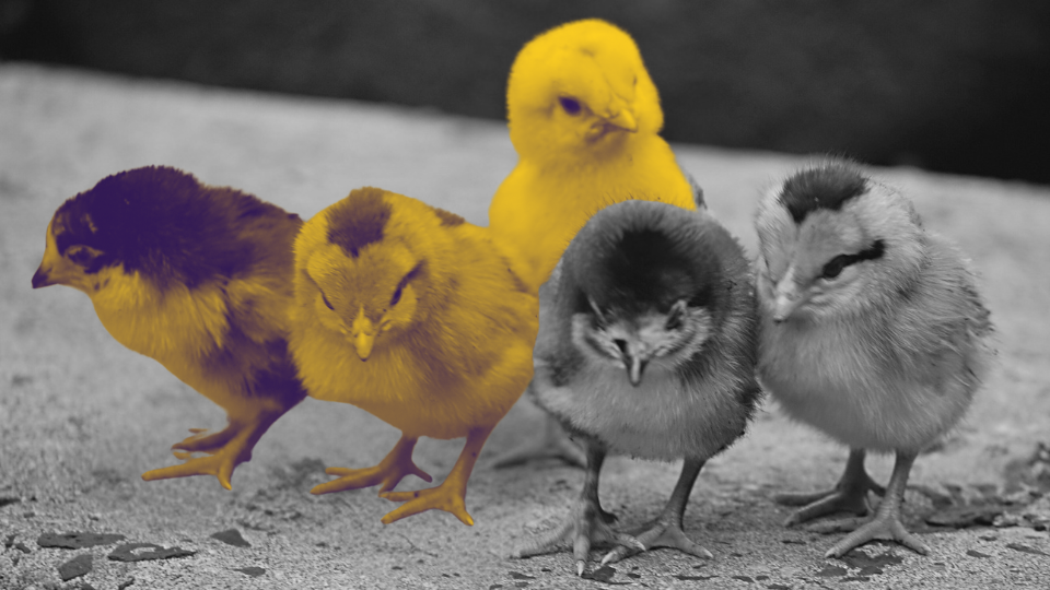 Когда CRM полна мусора - маркетинг может помочь