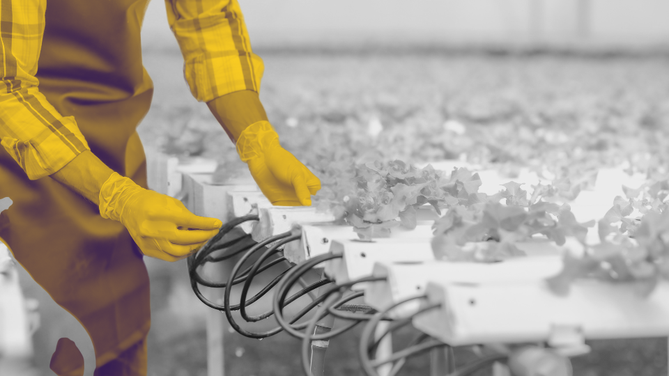 Системный маркетинг: зачем он бизнесу, а не отделу маркетинга