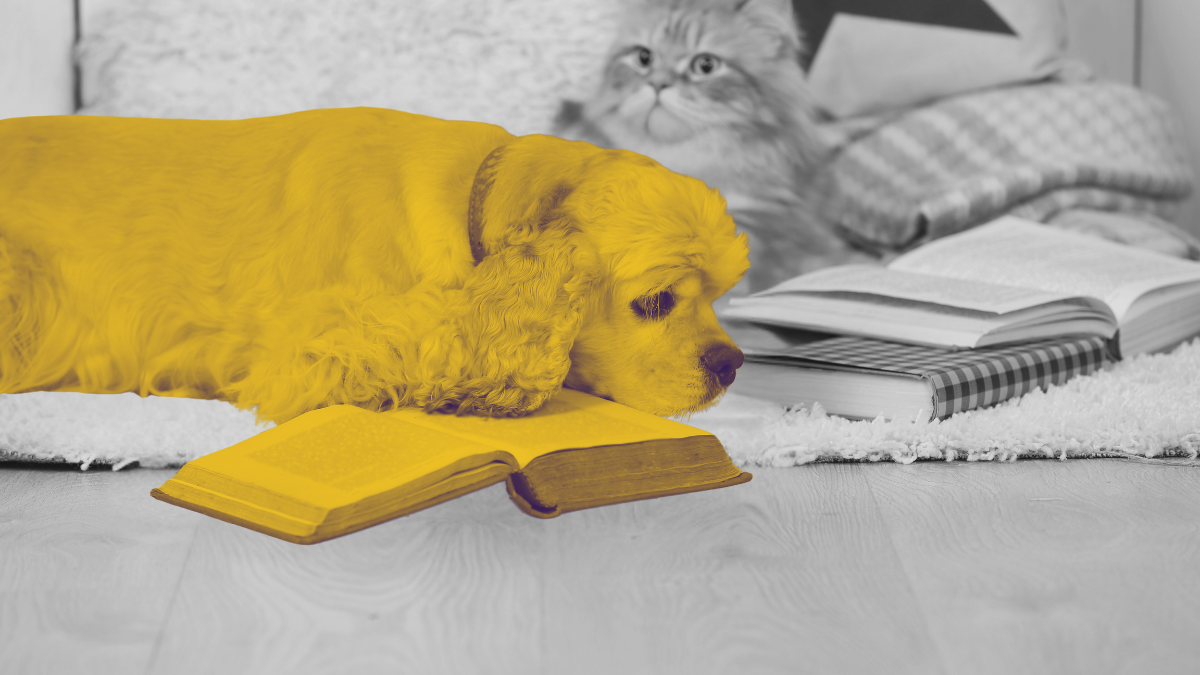 Хороший маркетинг = меньше запросов на тех. объяснения: как вернуть инженерам время на разработку