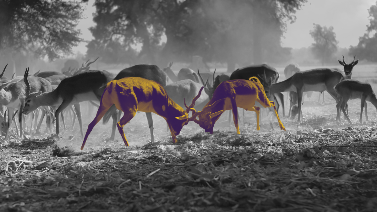 Почему старые кейсы не работают на новых клиентов