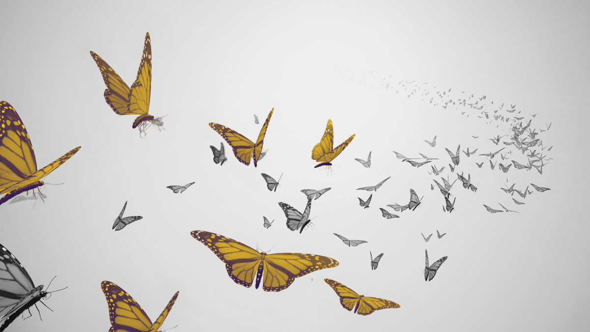 Потолок роста: 4 признака, что вы «выжали» максимум из вашего рынка (и что делать дальше)