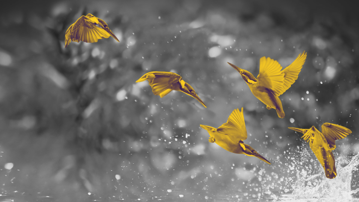 Маркетинг как оргструктура: не люди, а роли