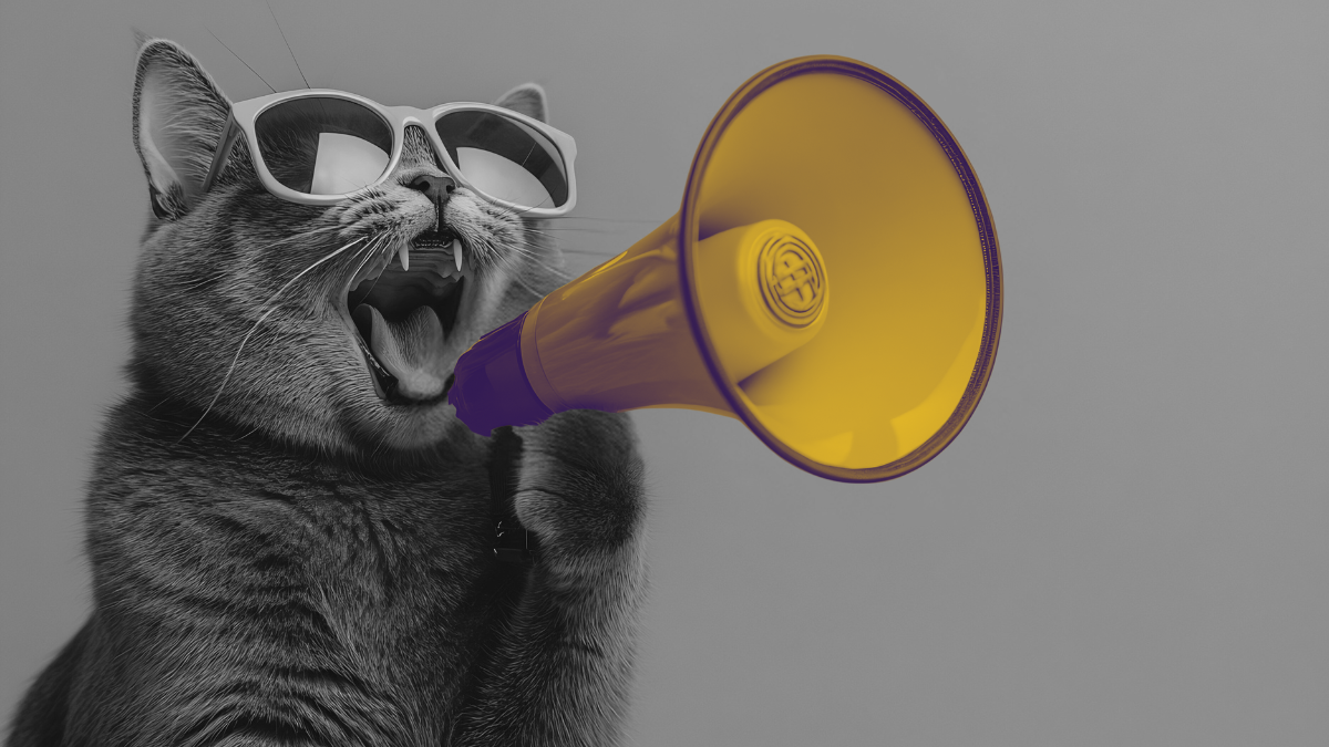 Как понимать отчёты от маркетинга: отделяем логику от шума. Гайд для генерального директора