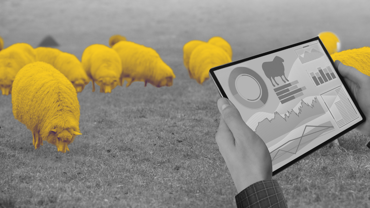 Как перестать «ручками» управлять подрядчиками в маркетинге: инструкция для генерального директора