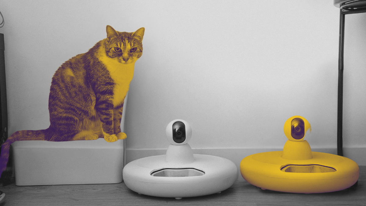 Сценарии касаний без продавца: когда клиент сам дозревает