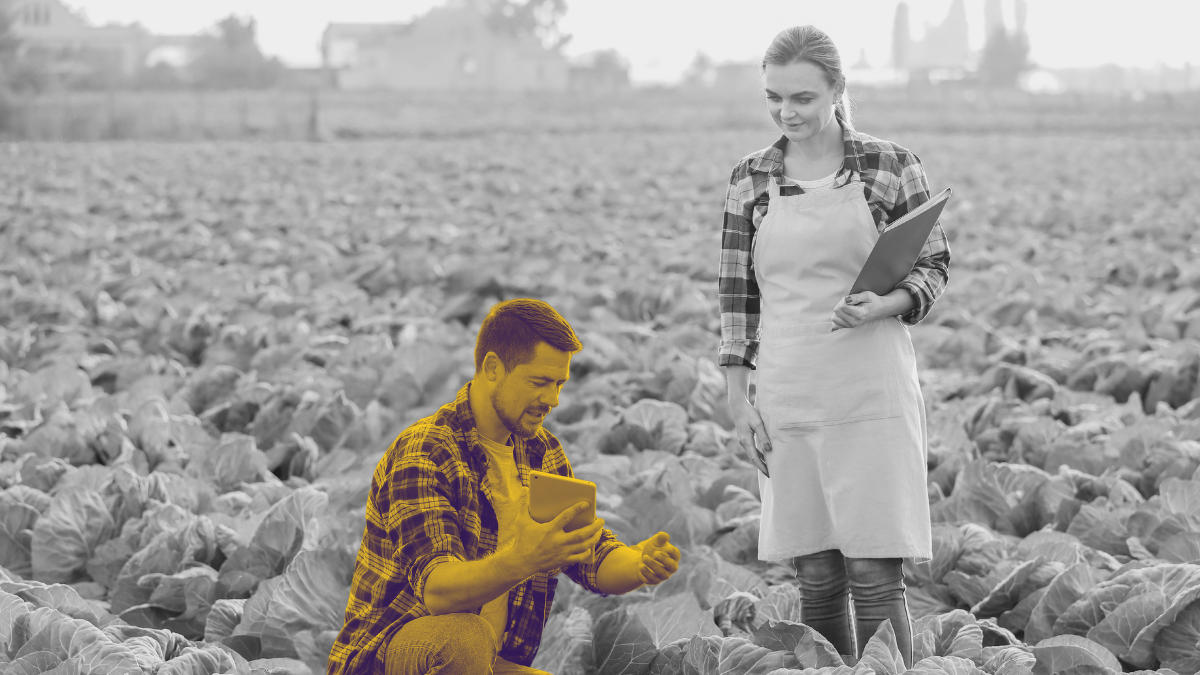 Проверка сегмента без CRM и без маркетолога