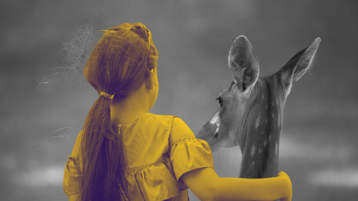 Как маркетинг может объяснять API и модули без участия технического директора