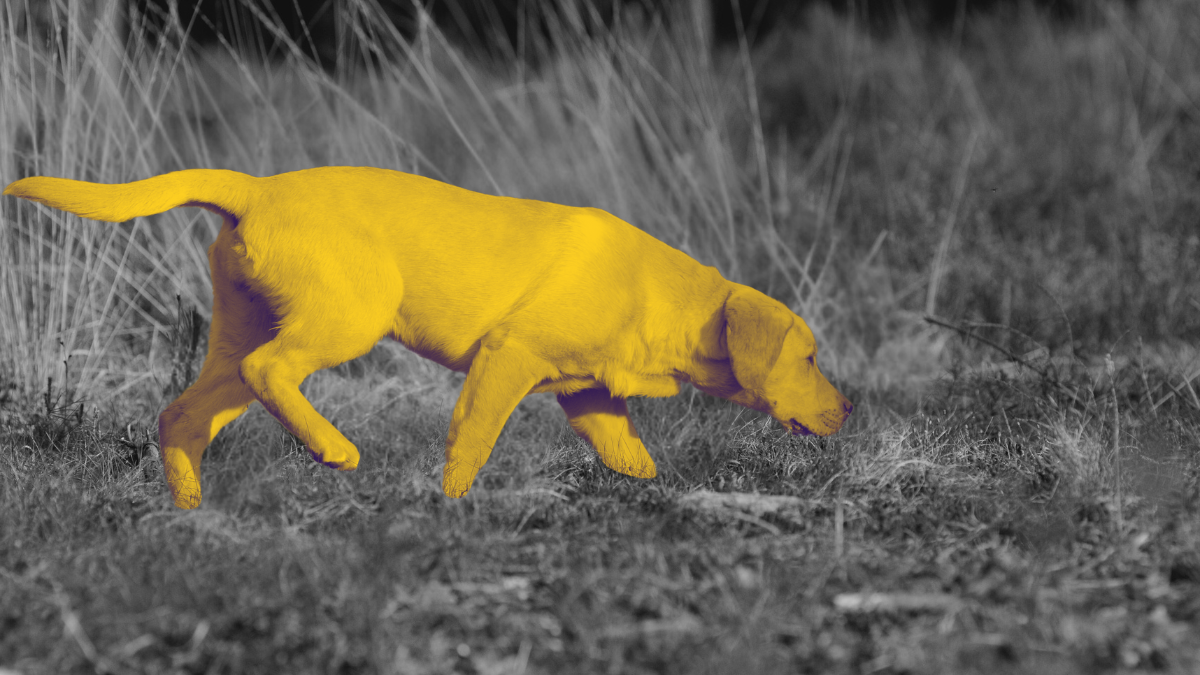 Что можно узнать о новом рынке за 3 недели: фреймворк для быстрого теста