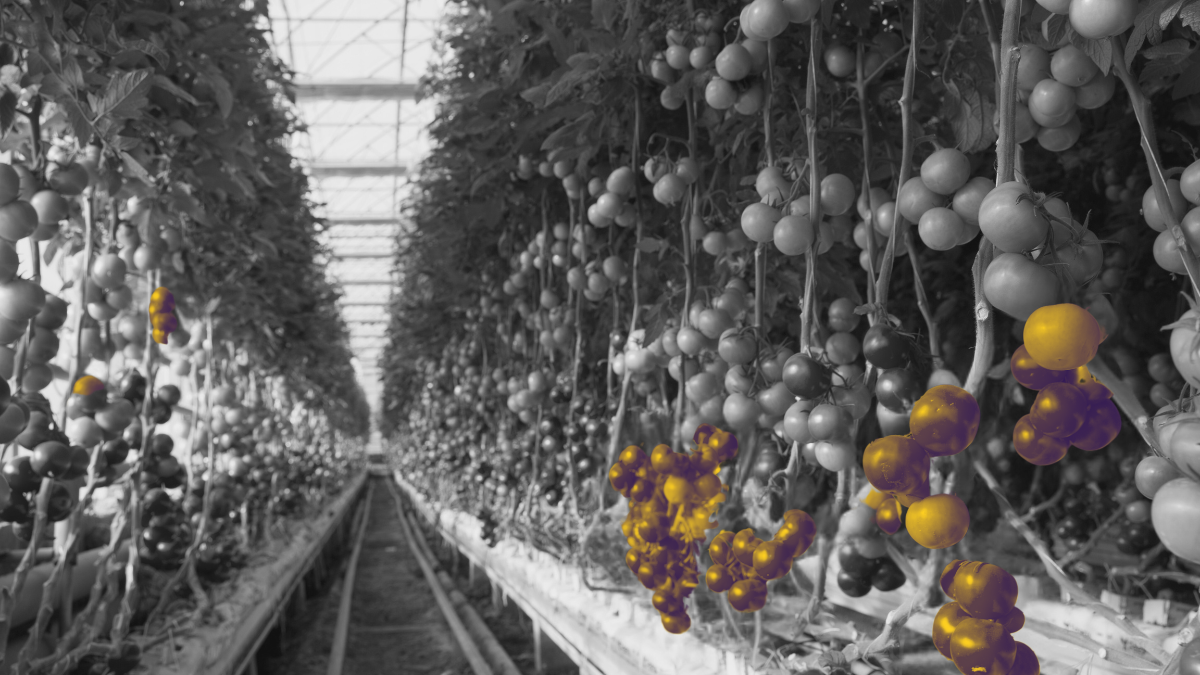 Nurture и ABM глазами продавца: как новые подходы делают вашу работу проще, а чеки больше