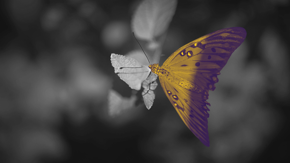 Как начать системную трансформацию: первый, безопасный и результативный шаг