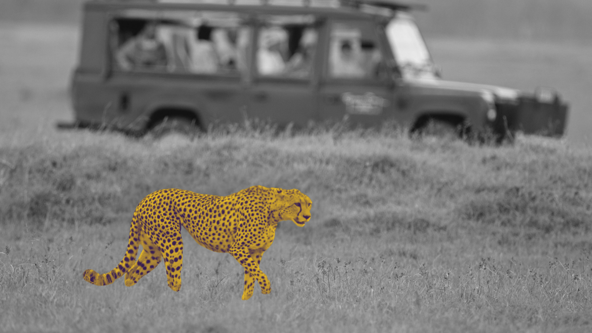 FAQ для техничных продуктов: как снизить входной барьер